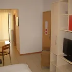 Lipa * ザダル