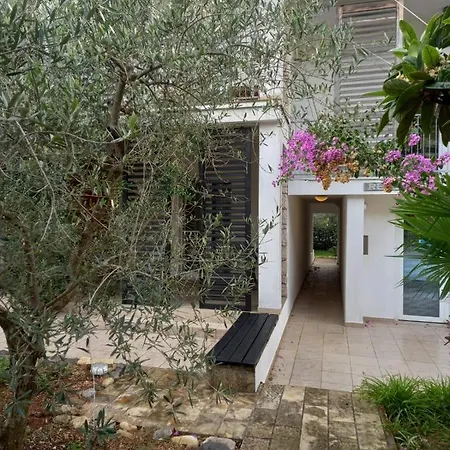 דירה Lipa