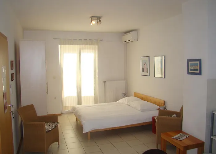 Lipa Zadar