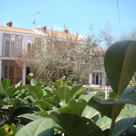 Lipa