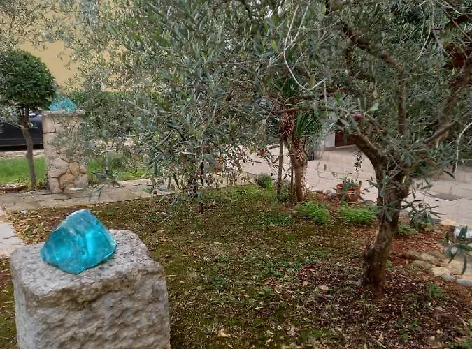 Apartmán Lipa Zadar