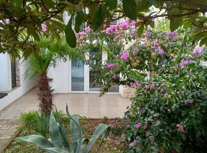 Lipa Apartman *